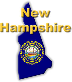 New Hampshire State Flag